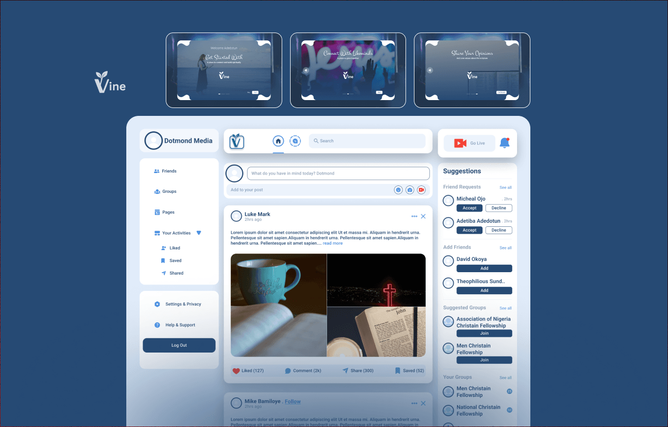 VINE Interface Overview